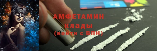 индика Алзамай