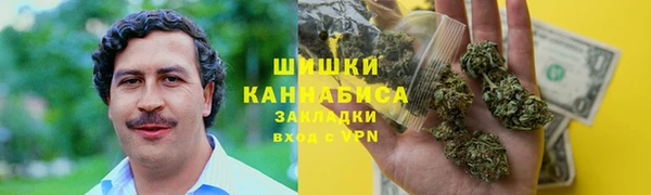 индика Алзамай