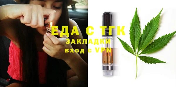 индика Алзамай