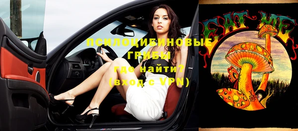 сатива Алексеевка