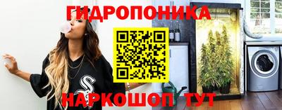 дурь Малгобек