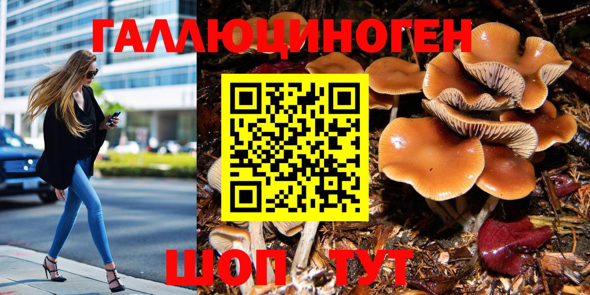 Галлюциногенные грибы мухоморы  Вход с VPN  Псилоцибиновые грибы Psilocybe  Всеволожск 